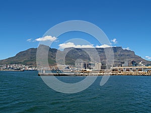 Table Mountain from Table BAy