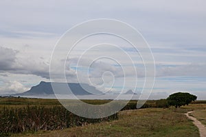 Table Mountain viewed from Table Bay nature reserve Rietvlei Cape Town