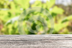 Table in nature forest. Background wood table. Wooden table with blur background