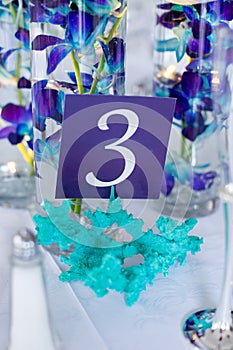 Table number and centerpiece