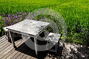 Table at an open area cafe on the edge of a rice field, Umalas, Bali Island, Indonesia