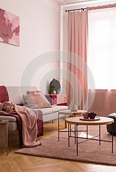 Table on pink carpet in living room interior with blanket on grey sofa and drapes at window. Real photo