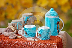 Table prepared for lunch in autumn nature, picnic. Outdoors picnic close up. Seasonal concept