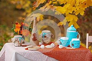 Table prepared for lunch in autumn nature, picnic. Outdoors picnic close up. Seasonal concept