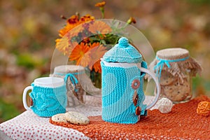 Table prepared for lunch in autumn nature, picnic. Outdoors picnic close up. Seasonal concept