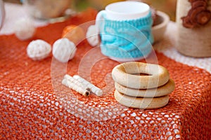 Table prepared for lunch in autumn nature, picnic. Outdoors picnic close up. Seasonal concept