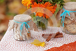 Table prepared for lunch in autumn nature, picnic. Outdoors picnic close up. Seasonal concept