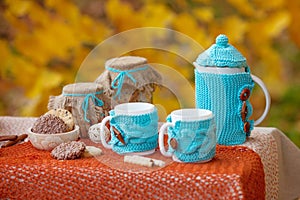 Table prepared for lunch in autumn nature, picnic. Outdoors picnic close up. Seasonal concept