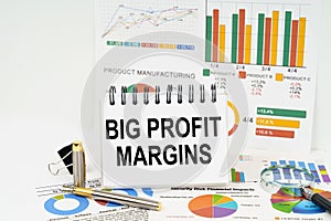 On the table are reports with graphs and a notepad with the inscription - Big Profit Margins