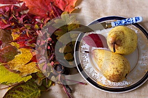 Table set with pears on pretty antique plate and knife, with bunch of colourful autumn leaves