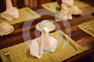 Table Setting, Folded Napkin