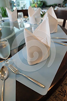 Table setting, folded napkin