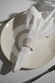 Table setting with plate, knife, fork and napkin