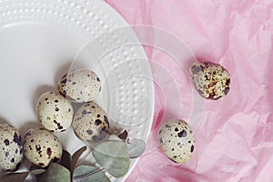 Table setting with quail eggs on a white plate, green twig