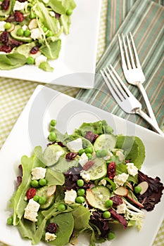 Table setting with salads photo