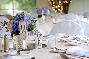 Table setting - series