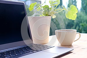 On table in summer garden there is open laptop, computer with blank screen, black display for designer, cup of cappuccino, concept