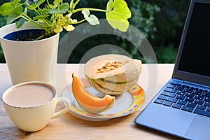 On table in summer garden there is open laptop, computer, cup of cappuccino, melon on plate, concept of downshifter`s workplace,