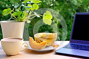 On table in summer garden there is open laptop, computer, cup of cappuccino, melon on plate, concept of downshifter`s workplace,