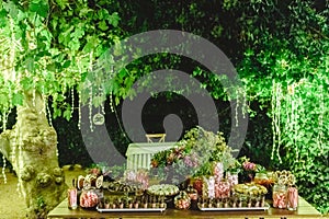 Table with sweet desserts in a garden at night, illuminated by LED lights photo