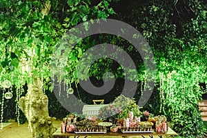 Table with sweet desserts in a garden at night, illuminated by LED lights photo