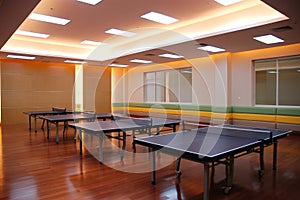 Table tennis field