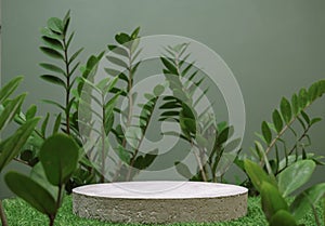 Table top concrete counter podium with tropic forest jungle plant blurred dark green background.natural product present placement