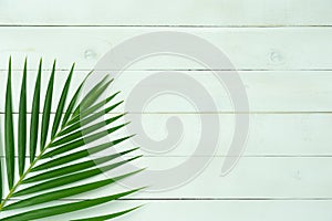 Table top view aerial image of summer season holiday background concept.Flat lay coconut or palm colorful leaf on modern rustic