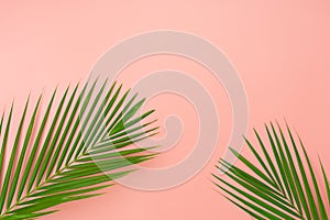 Table top view aerial image of summer season holiday background concept.Flat lay coconut or palm green leaf on modern rustic pink