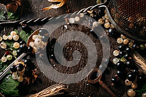 Table top view on a bunch of black currant on dark wooden table