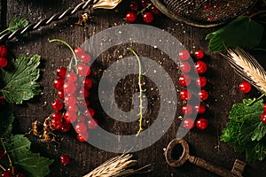 Table top view on a bunch of red currant on a dark wooden table