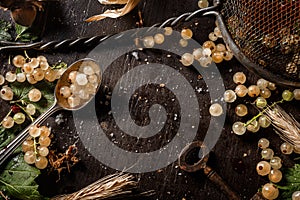 Table top view on a bunch of white currant on dark wooden table