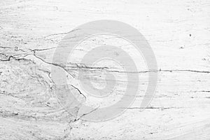 Table top view of wood texture in white light natural color background. Grey clean grain wooden floor birch panel backdrop with