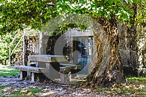 Table under a Chestnut tree