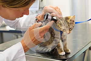 On the table by the veterinarian