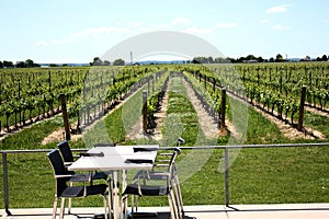 Table at vineyard