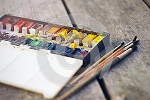 On a table are watercolor paint, along with which are flowers coltsfoot and a brushes