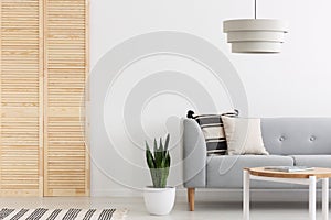 table in white living room interior with grey settee next to plant. Real photo