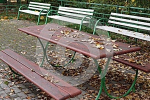 Table and wooden benches with fallen leaves, autumn