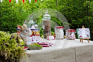 Table in the woods decorated to the birthday