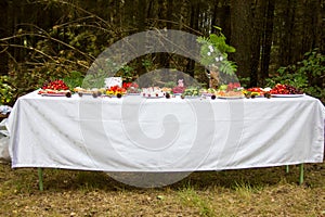 Table in the woods decorated to the birthday