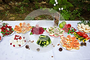 Table in the woods decorated to the birthday