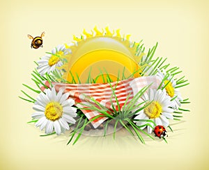 Tablecloth and sun behind, grass, flowers of camomile, a ladybug and a be