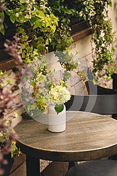 Tables and chairs in a cafe with climbing plants on the wall.