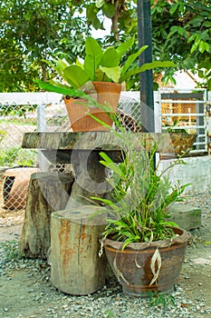 Tables and chairs made from tree.