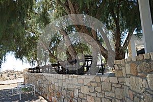 Tables with chairs stand on the terrace in the shade of Tamarix gallica subsp. trees. gallica in September in Pefkos or Pefki photo