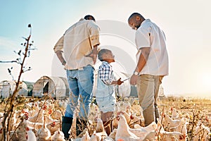 Tablet, gay couple and chicken with black family on farm for agriculture, environment and bonding. Relax, lgbtq and love