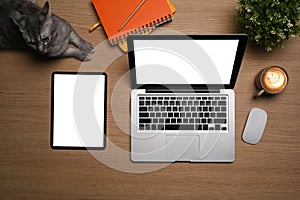 Tablet, laptop computer and lovely cat on wooden table.