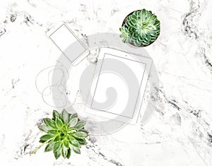 Tablet PC phone succulent plants Office table Flat lay