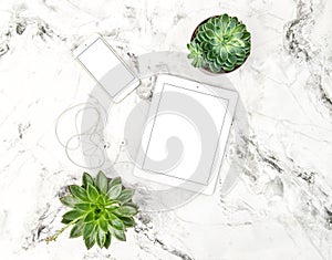 Tablet PC succulent plants phone Office table Flat lay